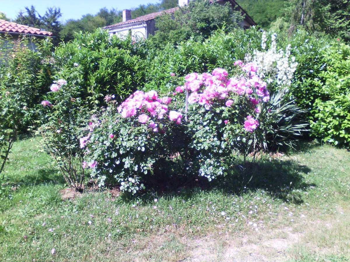 L'Ancien Patronage Guest House Caumont-sur-Garonne Exterior photo